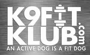 Stay fit with K9 Fit Klub, Dog Daycare in the Toledo area!