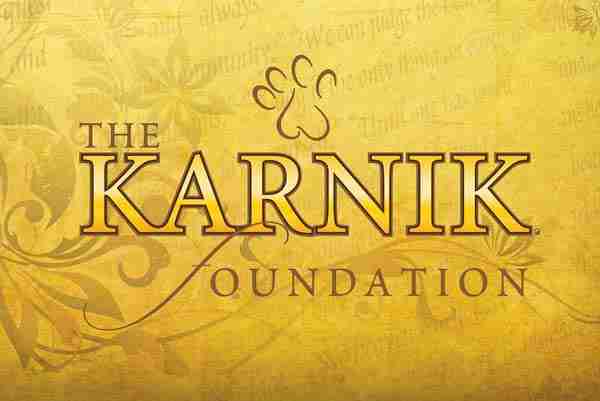 Karnik Foundation