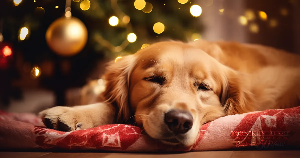 Holiday Pet Safety Tips - Ways in 2023 to keep your furry family merry and safe