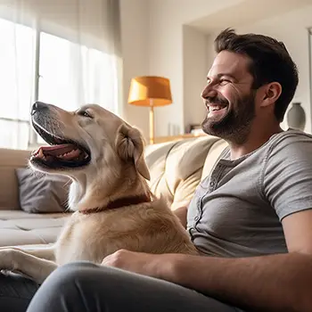 Improved quality bonding time with your dog