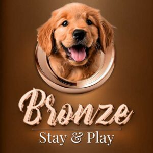Bronze Stay & Play Lodging Package