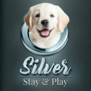 Silver Stay & Play Lodging Package