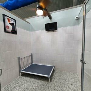 Luxury Dog Boarding Kennel Lodging Suites