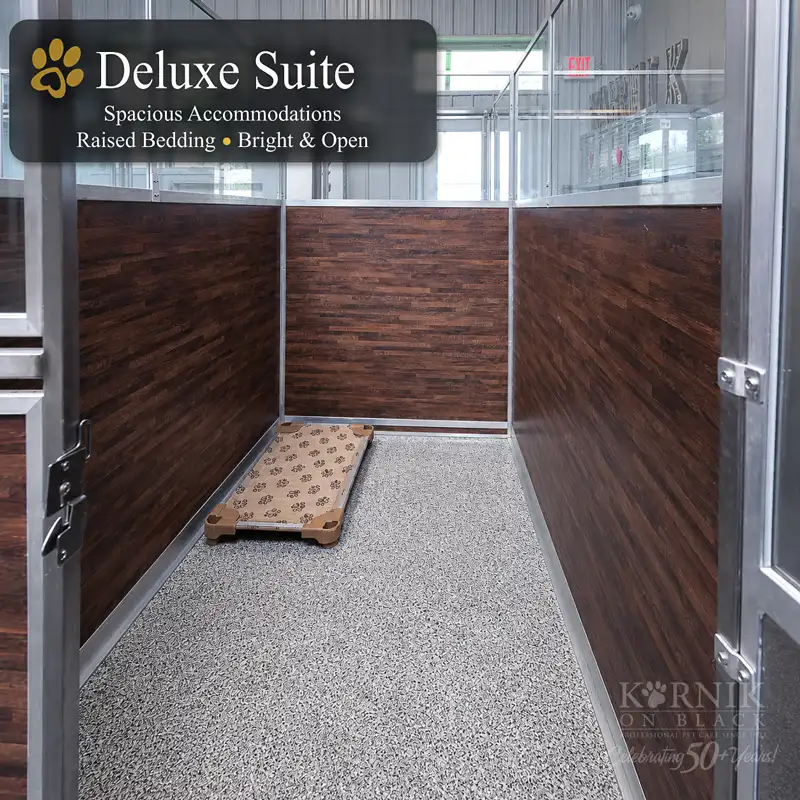 Karnik On Black Deluxe Suite — spacious, raised bedding, bright and open