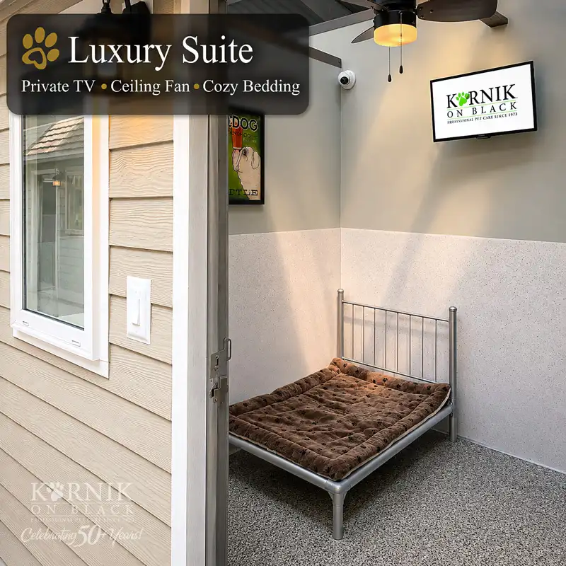 Karnik On Black Luxury Suite interior — private TV, ceiling fan, premium raised bed