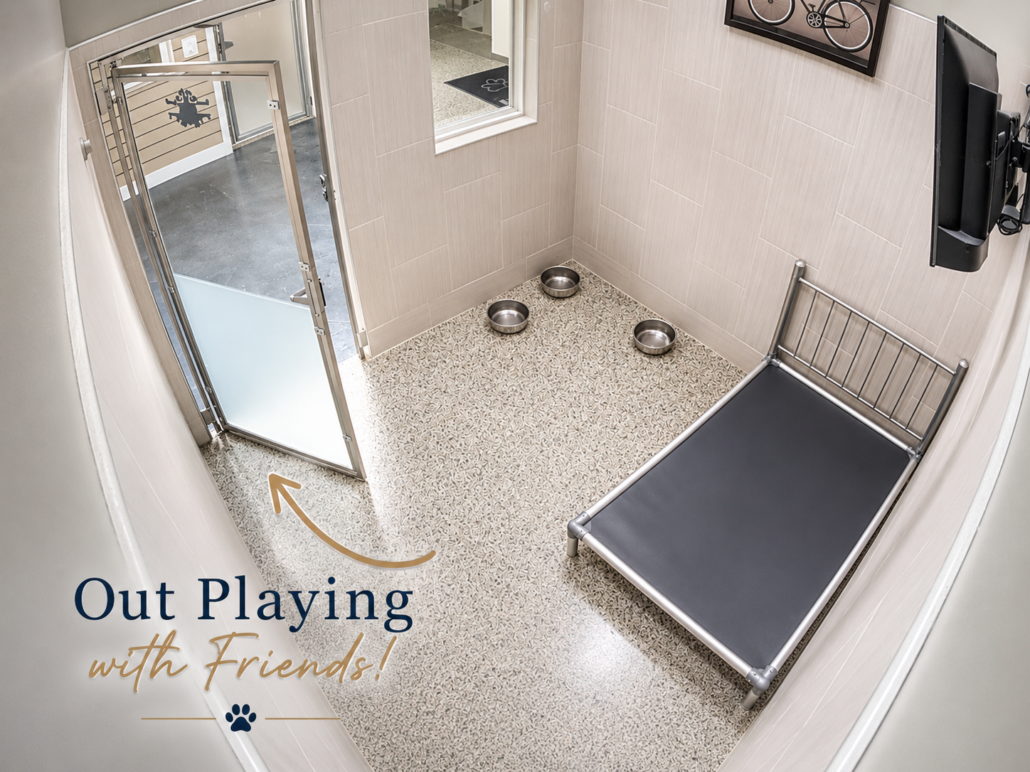 Karnik Kam view of an empty Luxury Suite with the door open — dog is out playing with friends